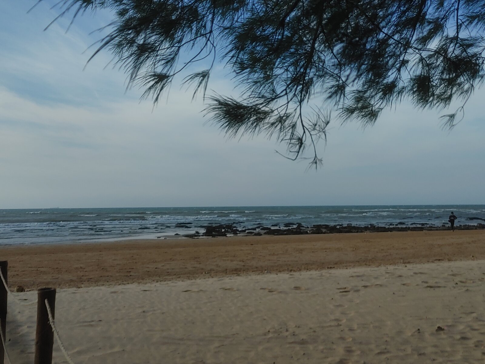 Suasana Pantai Sore Hari di Bawah Naungan Cemara